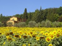  I Casali del Trebbiolo