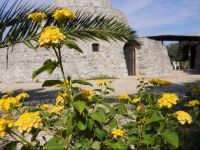  Agriturismo Specchiarussa