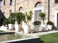  Il Frantoio Luxury Home