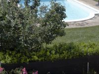  Azienda Agrituristica Le Bucoliche