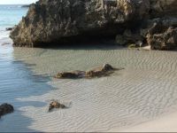  B&B Villa Dongiovanni