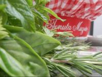  Agriturismo Tenuta Muzio