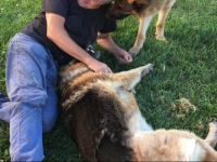  La Corte DEmilio B&B