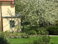  Ferienwohnung in Bad Saarow