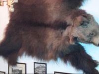  Gasthof zum BГ¤ren