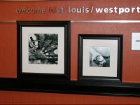  Hampton Inn St. Louis - Westport