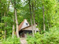  Spring Gulch A-Frame House 8