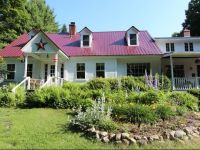  Buttonwood Inn on Mount Surprise