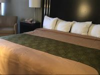  Econo Lodge Pittsfield