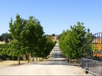  Honey Oak House at Laraneta Vineyards