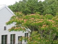  Eventide Resort Motel & Cottages