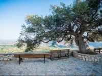  Marjoram - Morfi Village