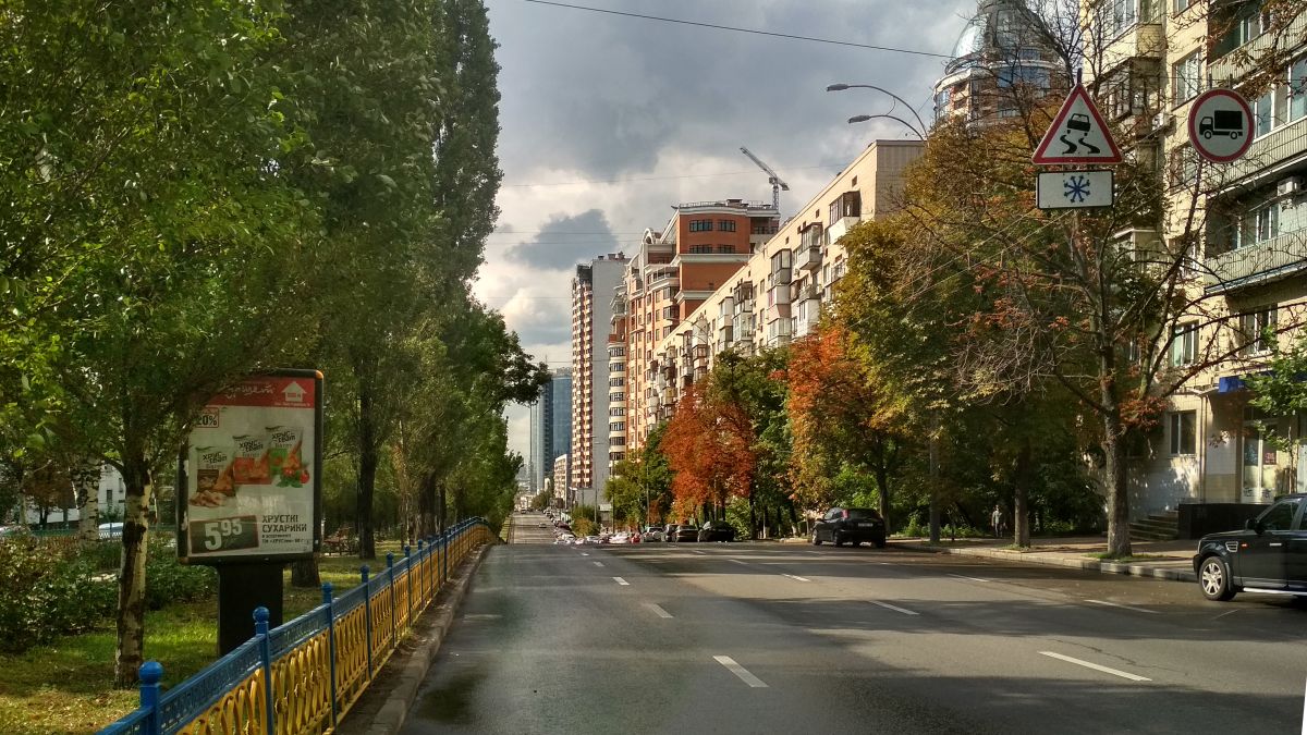 Бульвар Леси Украинки в Киеве