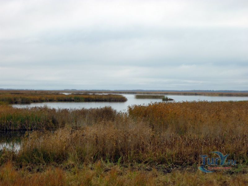 Кирзинский государственный природный заказник