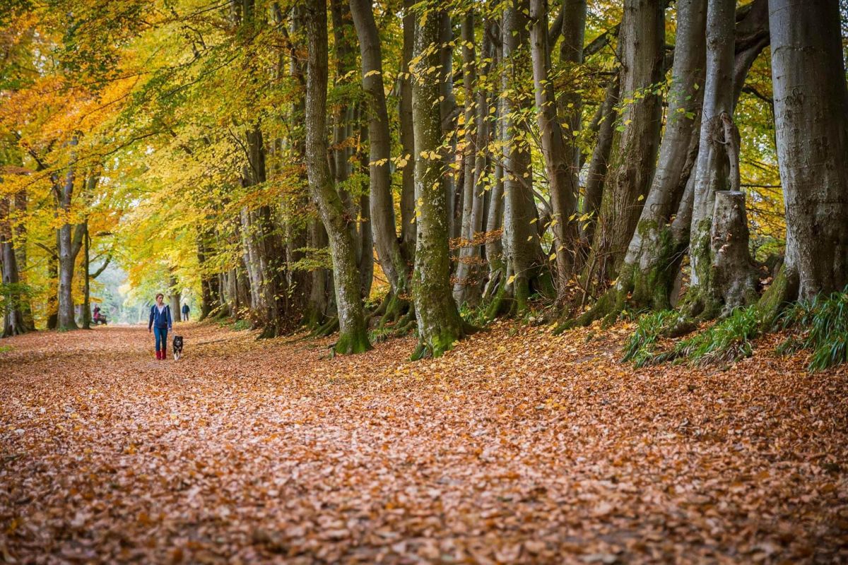 Великолепные короткие каникулы в Шотландии э... фото