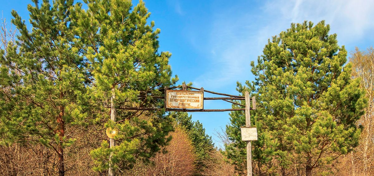 Дендропарк им. Г. А. Сулимо-Самуйло