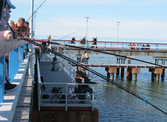 Морской Мост Паланга