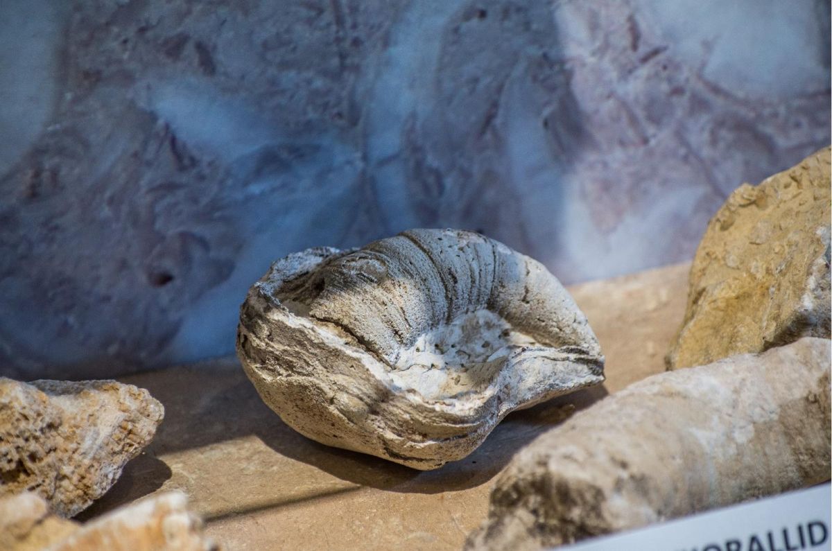 Музей плитняка Поркуни