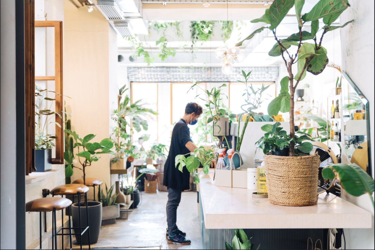 16 классных магазинов греческого дизайна в А... фото