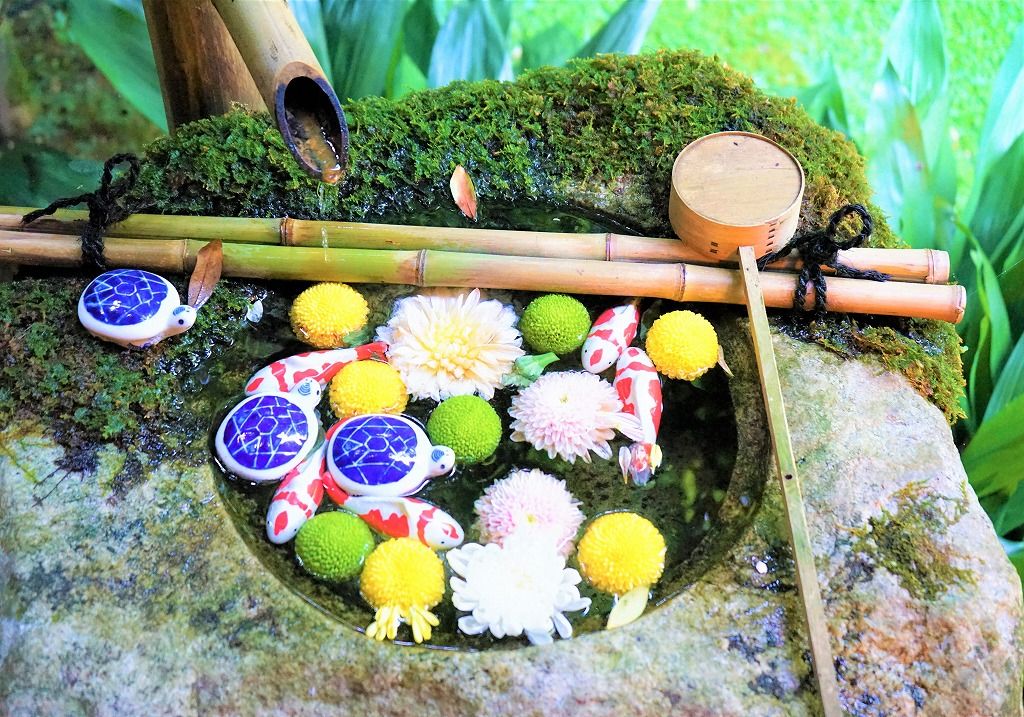 10 вдохновляющих мест в западной части Киото: бамбуковые рощи, храмы и история