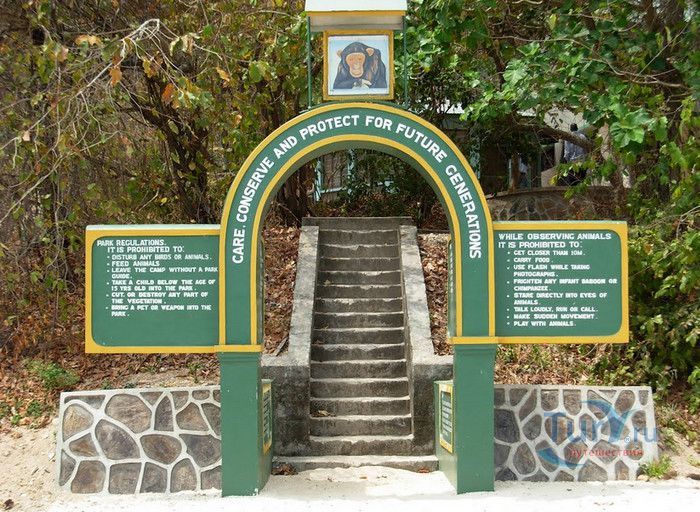 Национальный Парк Гомбе-Стрим