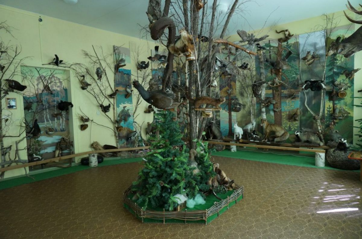 Экспозиция Жители наших лесов