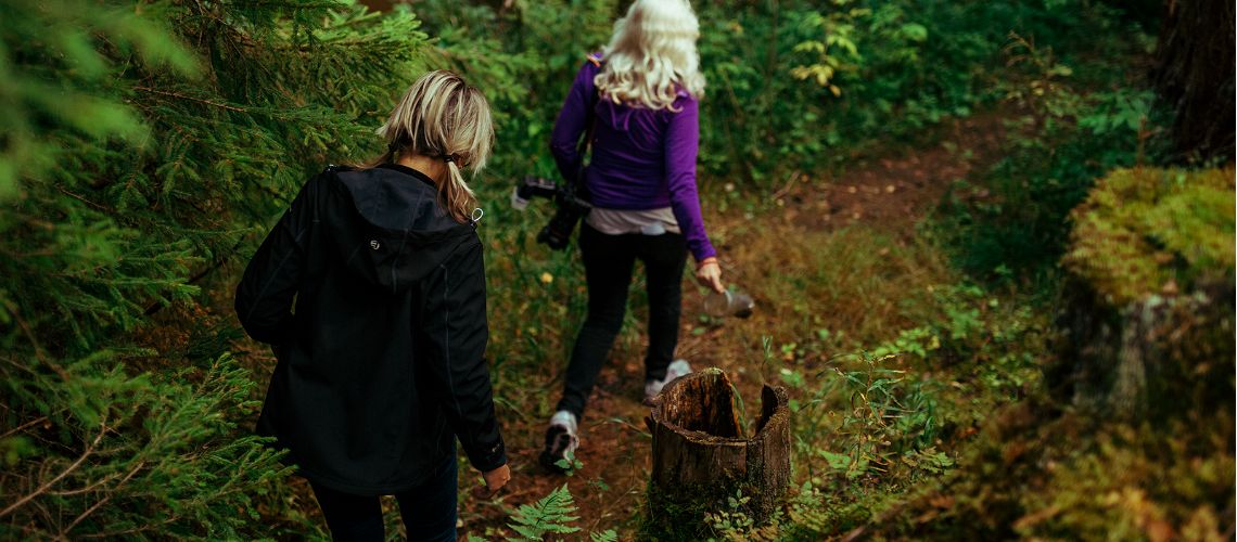 Витамины прямо из весеннего леса фото