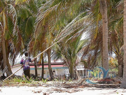 Залив Лонг Бей