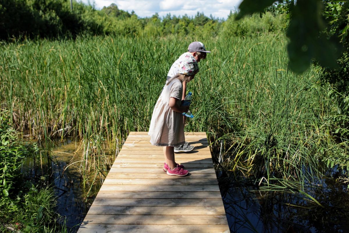 Природные и пешеходные тропы в Саареме