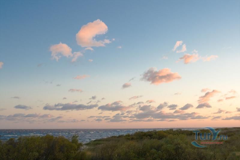 Ханкайский Заповедник