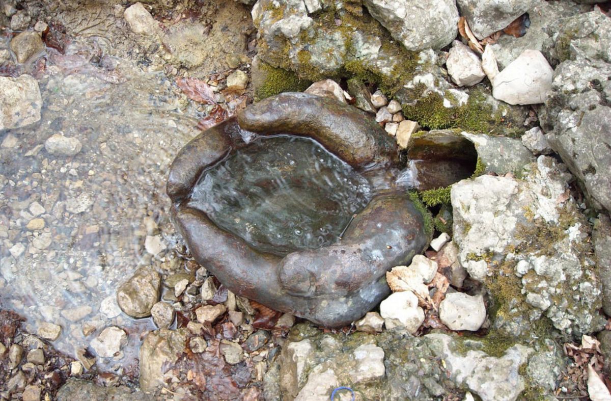 Партизанский Родник Ладошки