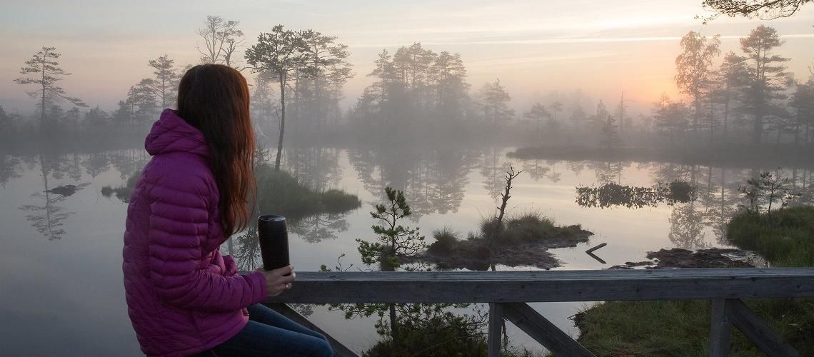 Зеленый Пярну фото