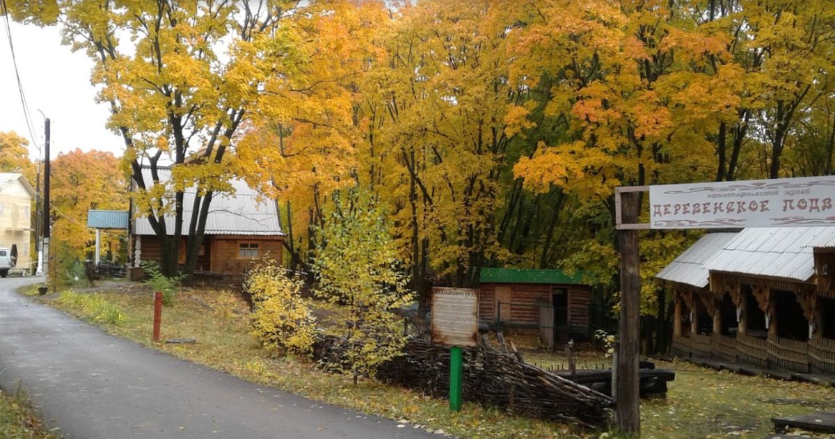 Этнографический музей Деревенское подворье