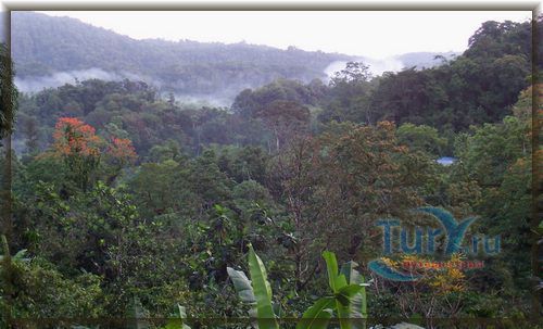 Брассо Секо