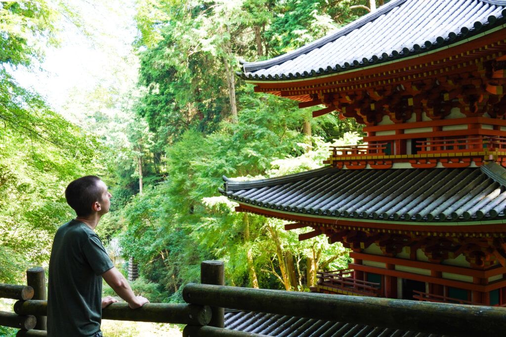 Поход в рай на южной окраине Киото: путешест... фото