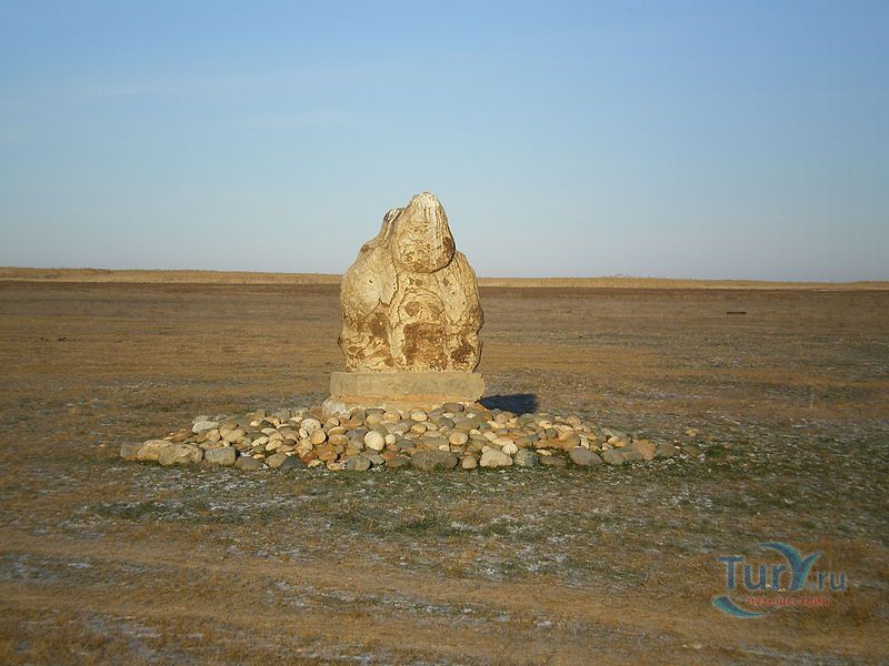 Заповедник Чёрные Земли