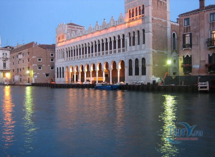 Фондако Деи Турки - Музей Естественной Истории