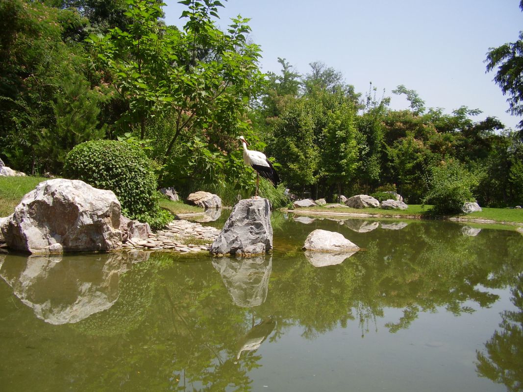 Японский сад 