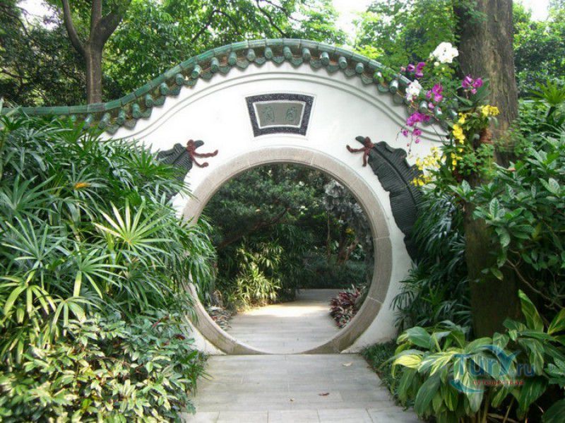 Сад Орхидей В Гуанчжоу