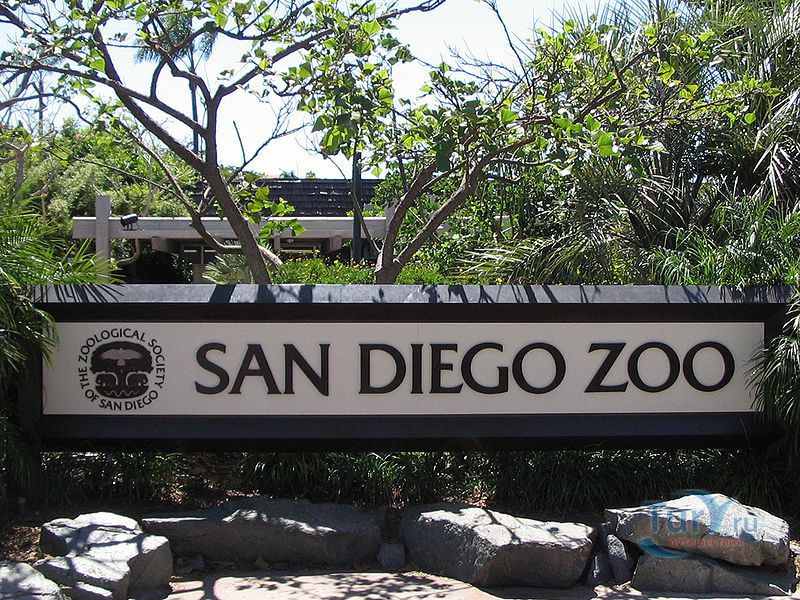 Зоопарк Сан-Диего
