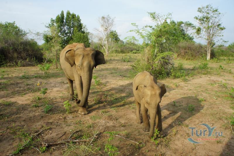 Национальный Парк Бундала