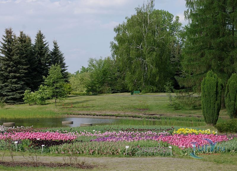 Ботанический сад в Лодзи