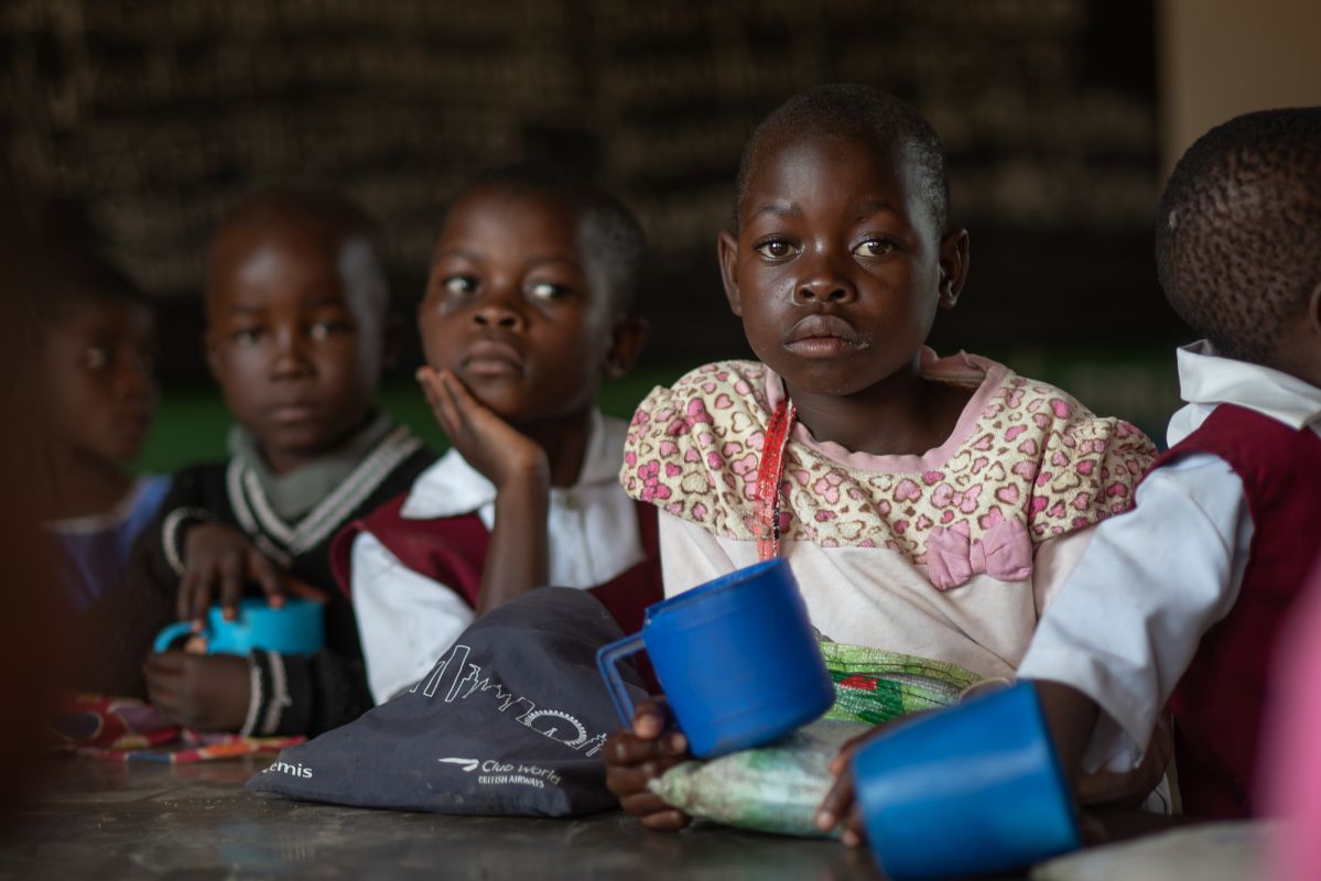 Обзор Central African Wilderness Safaris фото