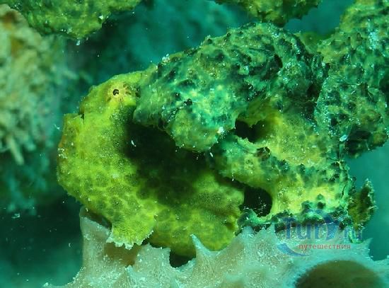 Морской парк Бонайре