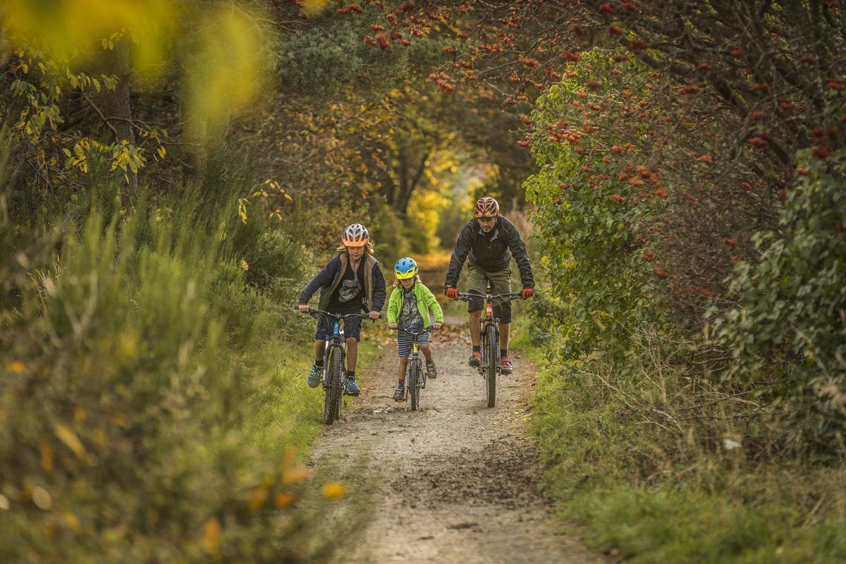 6 семейных велосипедных маршрутов в Шотланди... фото