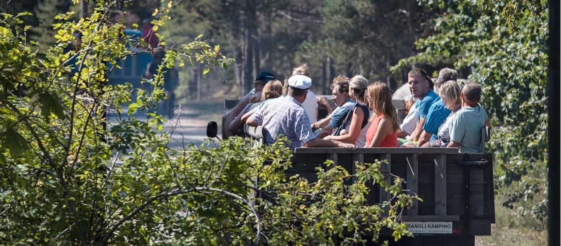 5 рекомендаций для посещения уникального эст... фото