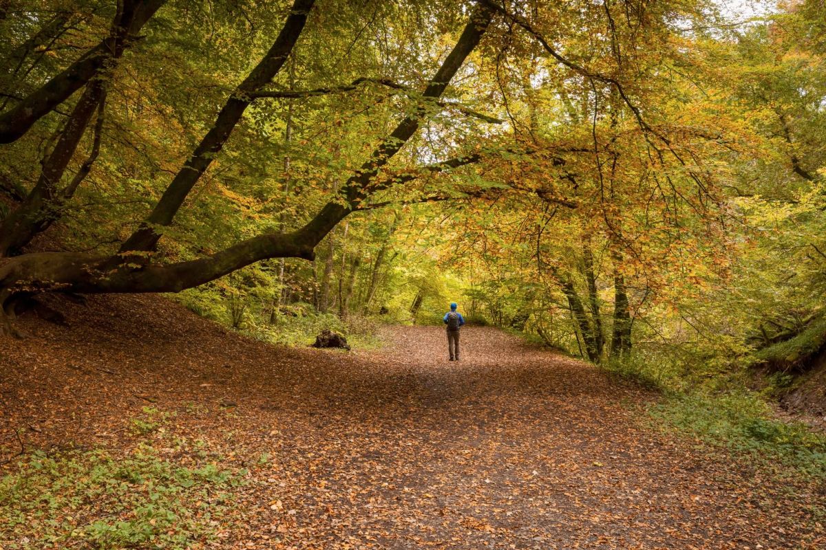 12 способов жить хорошо и улучшить свое само... фото
