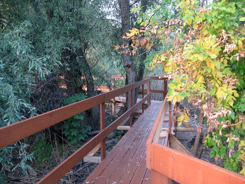 Музей природы Астраханского государственного природного биосферного заповедника