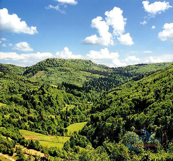 Ужанский национальный природный парк