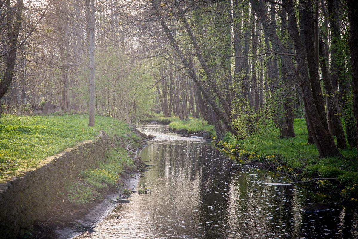 Городской парк Кярдла